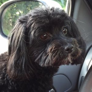 Meet your Posher, Tonya